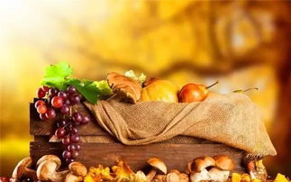 秋季養(yǎng)生家中必備食材10大排行榜，中醫(yī)養(yǎng)生保健服務(wù)指南